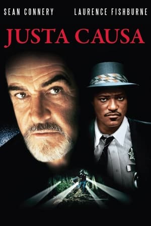 Poster Causa Justa 1995