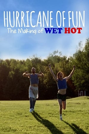 Poster Hurricane of Fun: The Making of Wet Hot 2015