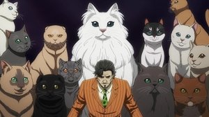 Prisonniers des chats