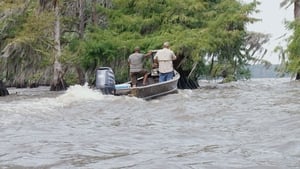 Swamp People Bruce's Dilemma