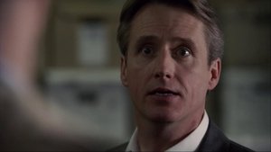 Law & Order: 20×15