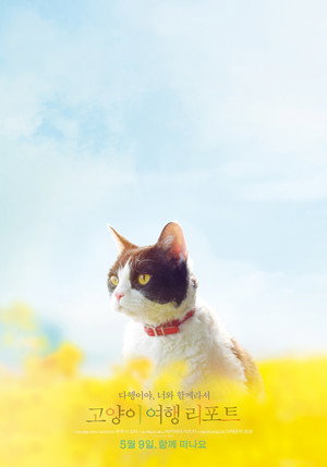 The Travelling Cat Chronicles