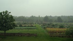 La ferme et son état