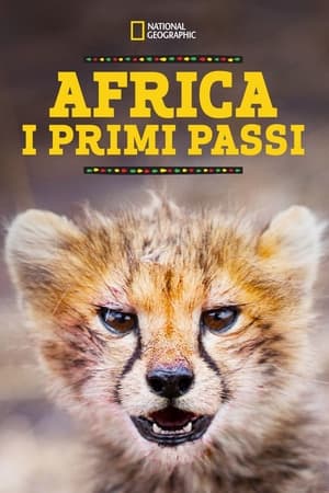 Image Africa: I Primi Passi
