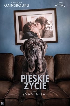 Pieskie życie