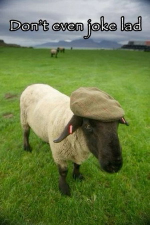 poster The Sheep Detectives