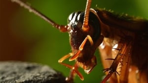 poster Micro Monsters with David Attenborough