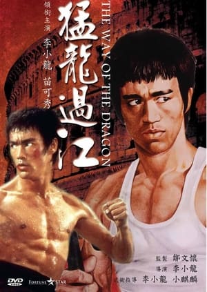 猛龙过江 (1972)