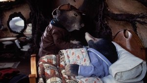 Badger's Remedy
