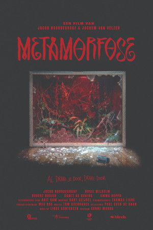 Metamorphosis 2