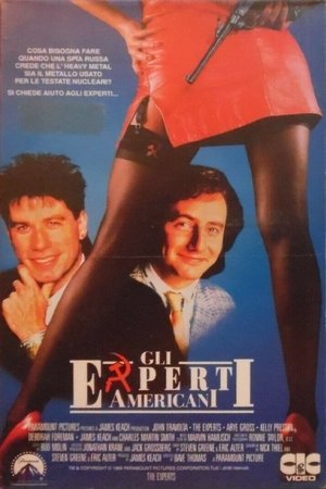 Gli esperti americani 1989