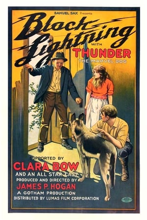 Poster Black Lightning (1924)