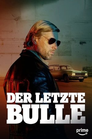 Der letzte Bulle - Season 6