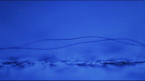 Gattaca movie still 46