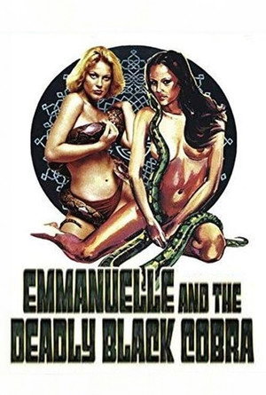 Постер фильма «Черная Ева в Гонконге (1976)» — (12 из 32)