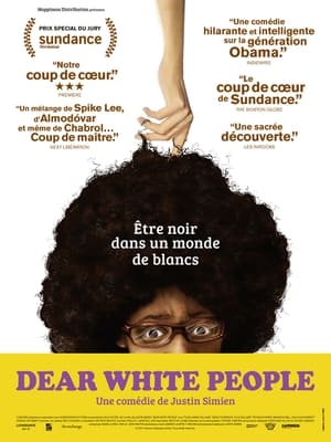 Poster Dear White People 2014