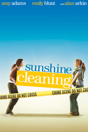 Poster Sunshine Cleaning 2008