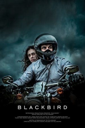 Poster Blackbird (2016)