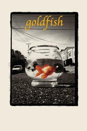 Image Goldfish