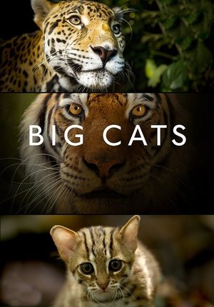 Big Cats (2018) Big Cats (2018)