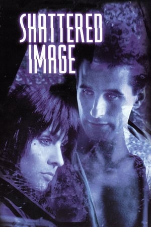 Poster Shattered Image 1998