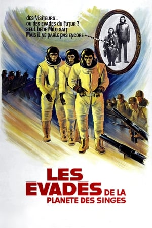 Poster Les Évadés de la planète des singes 1971