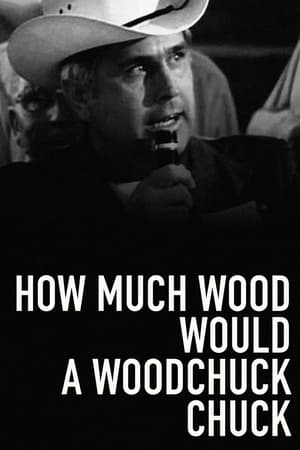 Poster How Much Wood Would a Woodchuck Chuck 1976
