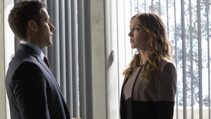 DC: Arrow: s2 e11 PL