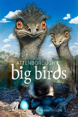Attenborough's Big Birds 4
