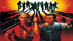 Die Erben der 36 Kammern der Shaolin (1985)