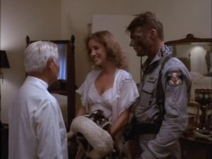 Airwolf: 2×4