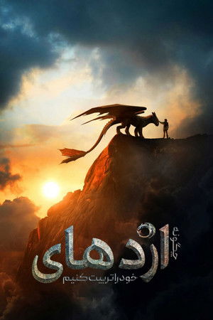 poster How to Train Your Dragon