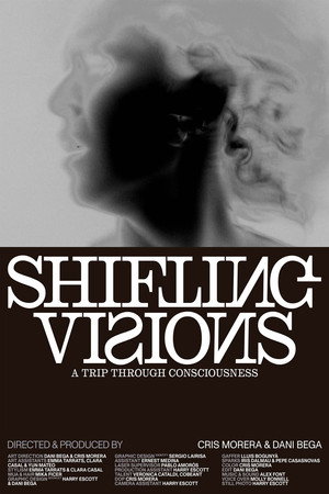 SHIFTING VISIONS 15