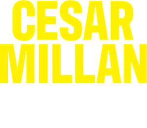 Cesar Millan: Better Human, Better Dog — Logos 10