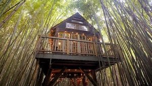 The World's Most Amazing Vacation Rentals Trees 'N Zzzs