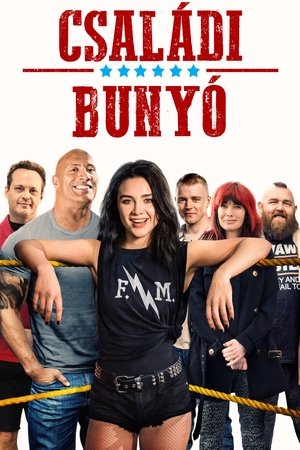 Image Családi bunyó