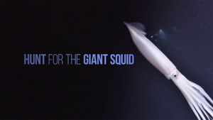 Hunt For The Giant Squid