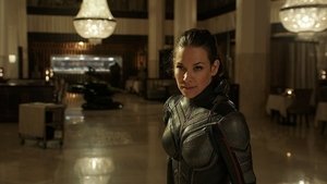 Ant-Man and the Wasp (2018)
