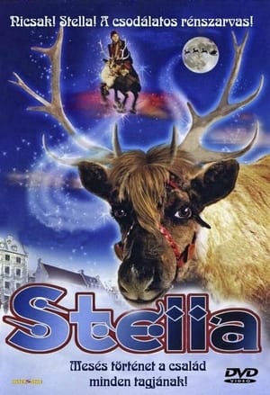 Poster Stella 2003