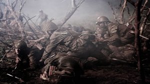 fotograma-7