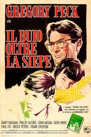 Poster di Il buio oltre la siepe