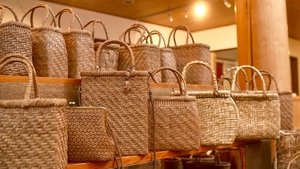 Journeys in Japan: 11×5