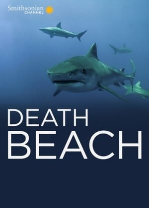 Poster Death Beach (2012)