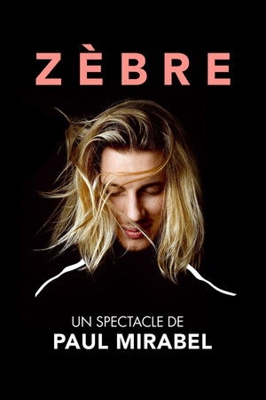 Paul Mirabel : Zèbre