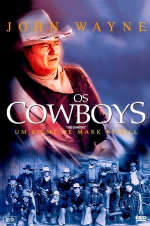 Poster Os Cowboys 1972