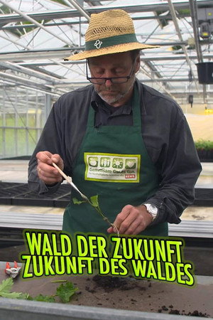 Wald der Zukunft - Zukunft des Waldes