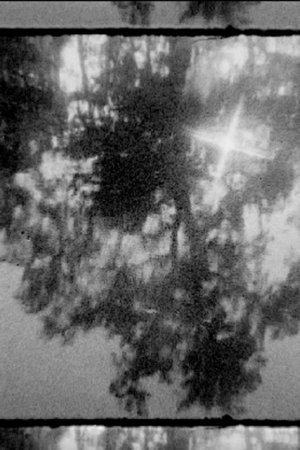 In the Darkness (2025)