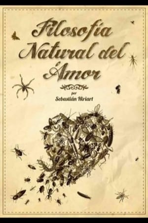 Poster Filosofía natural del amor 2013