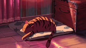 Cats’ Gathering
