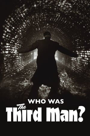Who Was The Third Man...? poster